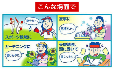 熱中症対策に！カープスーパーネックール氷結II（2個セット）[BACL001]野球 熱中症対策 カープグッズ 野球 熱中症対策 カープグッズ