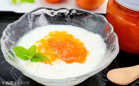 田尻完熟あんずジャム 4本セット [BAFL002] ジャム