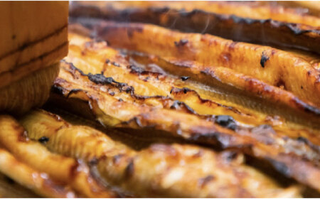 甚ごろうのあなごめし 2個セット [BAEC001]あなご