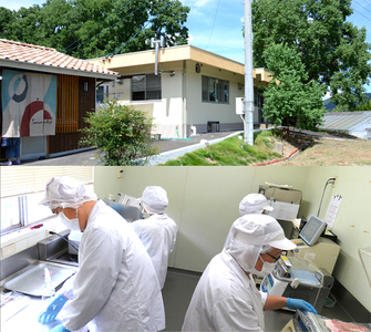 【びんご圏域連携】峠下牛ローストビーフと手作り焼豚の詰め合わせ No.1036