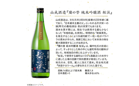【びんご圏域連携】備後の日本酒『純米吟醸酒』飲み比べセット No.1038