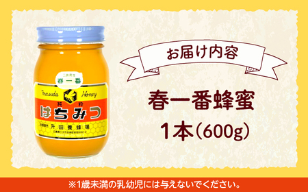 はちみつ 春一番蜂蜜600g[APAE002] はちみつ