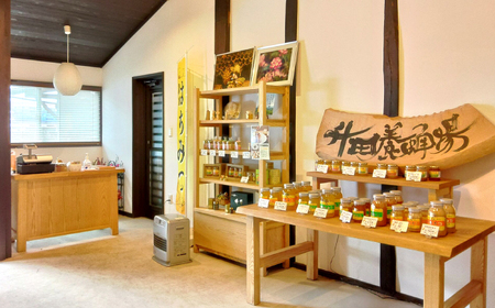 はちみつ 春一番蜂蜜600g[APAE002] はちみつ