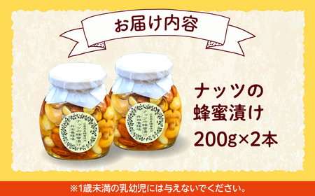 はちみつ ナッツの蜂蜜漬け2本セット [APAE003] はちみつ