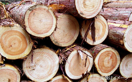 広島県産ヒノキのまな板セット[APAL009] まな板