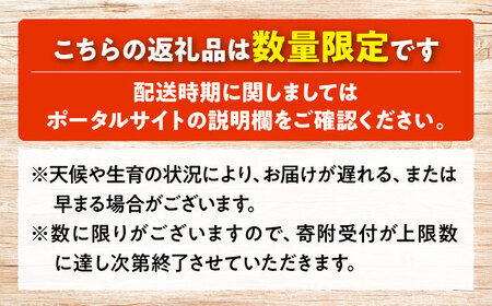 【数量限定70個】【先行予約】【1月上旬から順次発送】大前農園のいちご（さちのか）[APAS001] いちご
