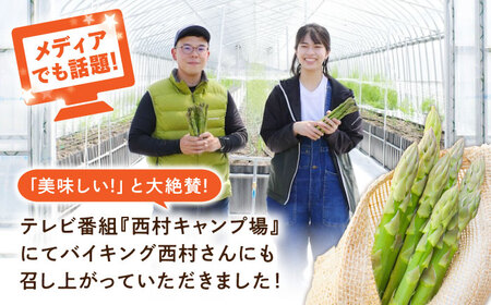 三次の恵みをおふくわけ 朝採れ 春芽アスパラガスとれたて アスパラ 旬[APAU001] アスパラ アスパラ アスパラ アスパラ アスパラ アスパラ アスパラ アスパラ