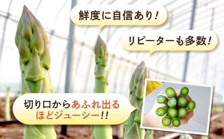 三次の恵みをおふくわけ 朝採れ 春芽アスパラガスとれたて アスパラ 旬[APAU001] アスパラ アスパラ アスパラ アスパラ アスパラ アスパラ アスパラ アスパラ