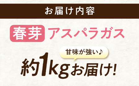 三次の恵みをおふくわけ 朝採れ 春芽アスパラガスとれたて アスパラ 旬[APAU001] アスパラ アスパラ アスパラ アスパラ アスパラ アスパラ アスパラ アスパラ