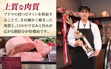 三次ワインビーフ4種セット800g[APAX010] 肉 黒毛和牛