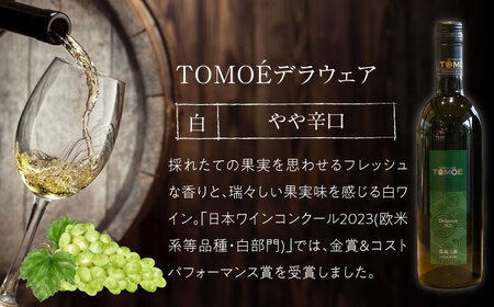 【スピード発送】おすすめ白ワイン2本セット[APAZ010] ワイン