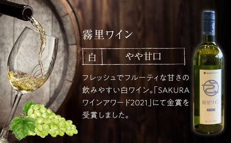 【スピード発送】おすすめ白ワイン2本セット[APAZ010] ワイン