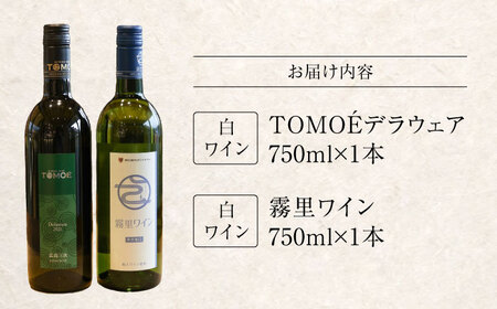 【スピード発送】おすすめ白ワイン2本セット[APAZ010] ワイン