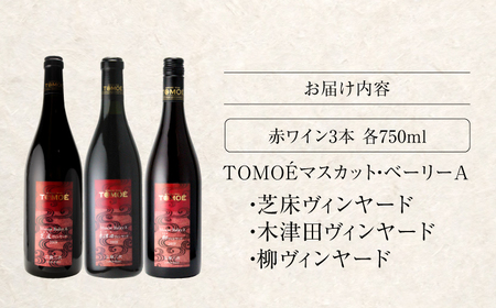 【スピード発送】三次ワイン ベーリーAヴァインヤード3本[APAZ031] ワイン