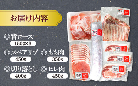 【先行予約】【2026年1月以降順次発送】豚肉 バラエティセット 計2.1kg [APAZ044] 豚肉