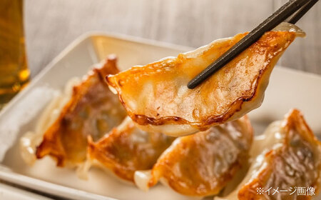 ぎょうざ しょうが餃子[APAZ046]ぎょうざ