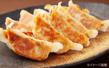 ぎょうざ しょうが餃子[APAZ046]ぎょうざ