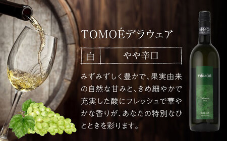 【全6回定期便】TOMOEデラウェア白ワイン[APAZ051] 白ワイン