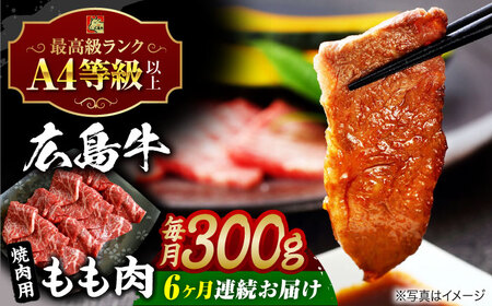 【全6回定期便】牛肉 焼肉 もも肉 [APAZ063] 牛肉