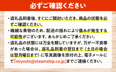 先行予約】【8月下旬から9月上旬に順次発送】みらさかピオーネ 先行予約】【8月下旬から9月上旬に順次発送】みらさかピオーネ