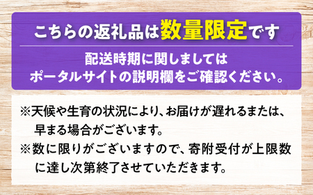 ぶどう ＜2026年発送＞ みらさか ピオーネ 2kg [APBE004] ぶどう
