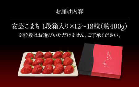 【先行予約】いちご 1段箱  ＜2026年1月以降順次発送＞ 安芸こまち 苺 [APBI002] いちご