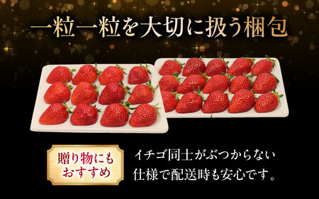 【先行予約】いちご 2段箱 ＜2026年1月以降順次発送＞ 安芸こまち イチゴ [APBI003] いちご