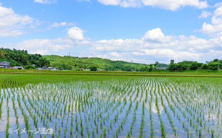 福田農場のもち米（ヒメノモチ1kg×5袋）[APBM003] もち米