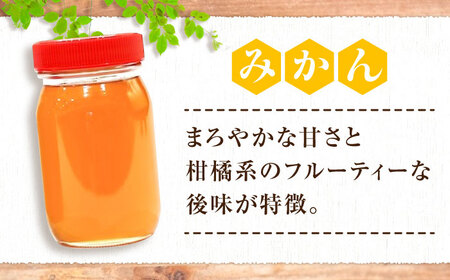 はちみつ 2種食べ比べセット 大容量 [APBO002] はちみつ