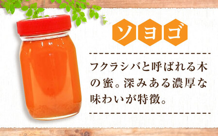 はちみつ 2種食べ比べセット 大容量 [APBO002] はちみつ