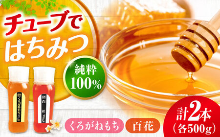 はちみつ チューブ2本セット（百花・くろがねもち）各500g [APBO005] はちみつ