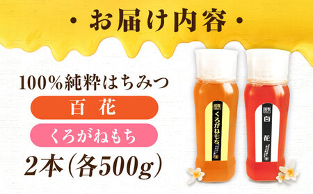 はちみつ チューブ2本セット（百花・くろがねもち）各500g [APBO005] はちみつ