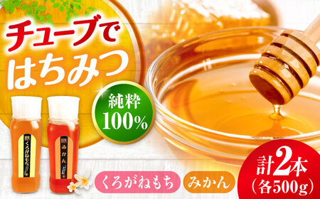 はちみつ チューブ2本セット（みかん・くろがねもち）各500g [APBO007] はちみつ