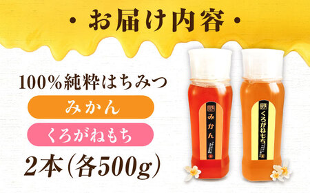 はちみつ チューブ2本セット（みかん・くろがねもち）各500g [APBO007] はちみつ