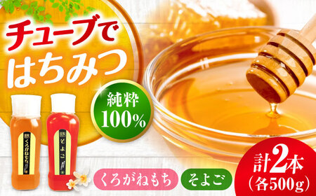 はちみつ チューブ2本セット（そよご・くろがねもち）各500g [APBO008] はちみつ