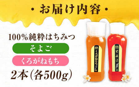 はちみつ チューブ2本セット（そよご・くろがねもち）各500g [APBO008] はちみつ