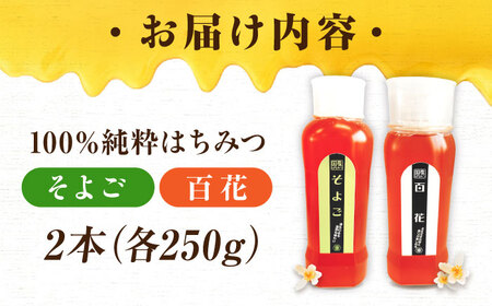 はちみつ チューブ2本セット（百花・そよご）各250g [APBO010] はちみつ