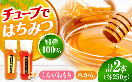 はちみつ チューブ2本セット（みかん・くろがねもち）各250g [APBO013] はちみつ