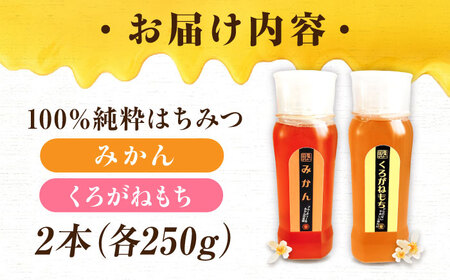 はちみつ チューブ2本セット（みかん・くろがねもち）各250g [APBO013] はちみつ