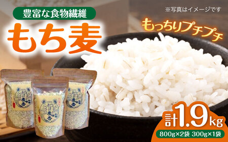 もち麦 ｢麦香｣ [APBP001] もち麦 もち麦 もち麦 もち麦 もち麦 