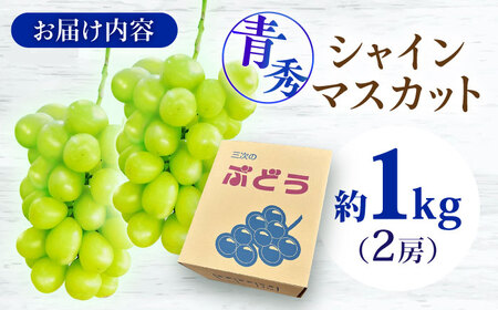 【2026年先行予約】＜9月中旬から順次発送＞シャインマスカット 1kg 青秀 露地栽培 [APCM002] シャインマスカット