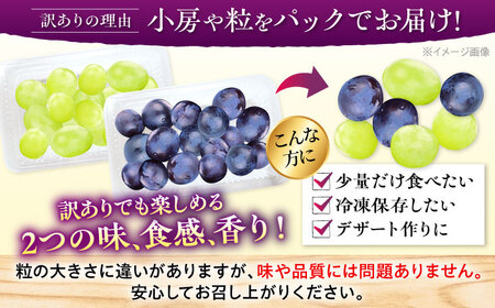 【2026年先行予約】＜9月中旬から順次発送＞【訳あり】ピオーネ シャインマスカット セット 計1kg 露地栽培 [APCM008] ぶどう ピオーネ シャインマスカット