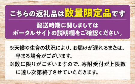 【2026年先行予約】＜9月中旬から順次発送＞【訳あり】ピオーネ シャインマスカット セット 計1kg 露地栽培 [APCM008] ぶどう ピオーネ シャインマスカット