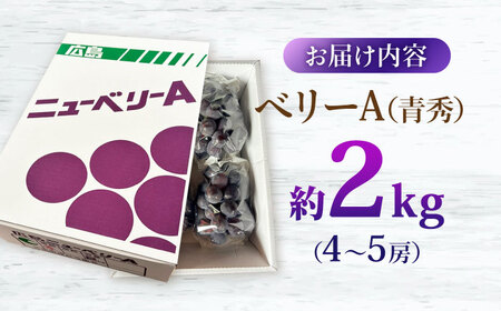 【2026年先行予約】＜9月上旬から順次発送＞ぶどう ベリーA 2kg 青秀 露地栽培[APCM012] ぶどう