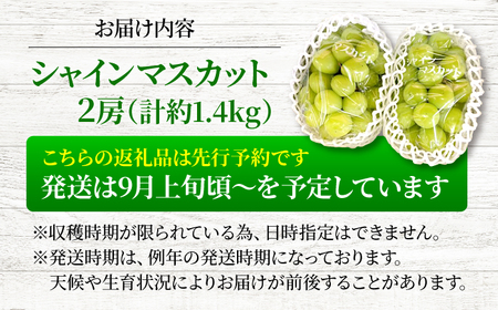 【2026年先行予約】＜9月上旬頃から順次発送＞シャインマスカット 2房 約1.4kg [APAB002] ぶどう シャインマスカット