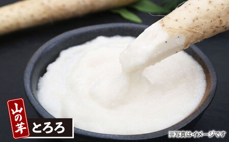 メンチカツ 山の芋3種セット[APAD002] メンチカツ