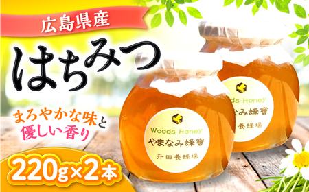 はちみつ やまなみ蜂蜜2本セット [APAE001] はちみつ