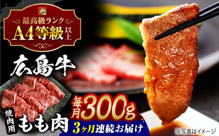 【全3回定期便】牛肉 焼肉 もも肉 [APAZ062] 牛肉