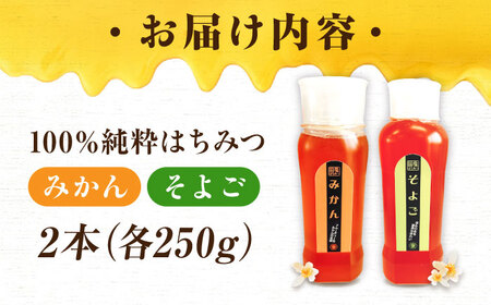 はちみつ チューブ2本セット（みかん・そよご）各250g [APBO012] はちみつ