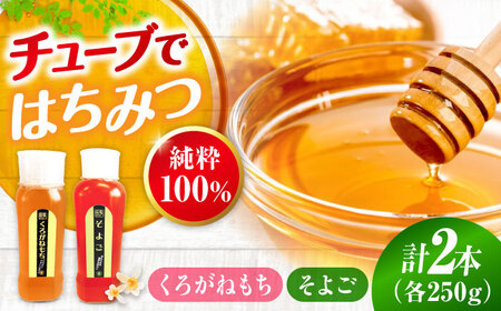 はちみつ チューブ2本セット（そよご・くろがねもち）各250g [APBO014] はちみつ